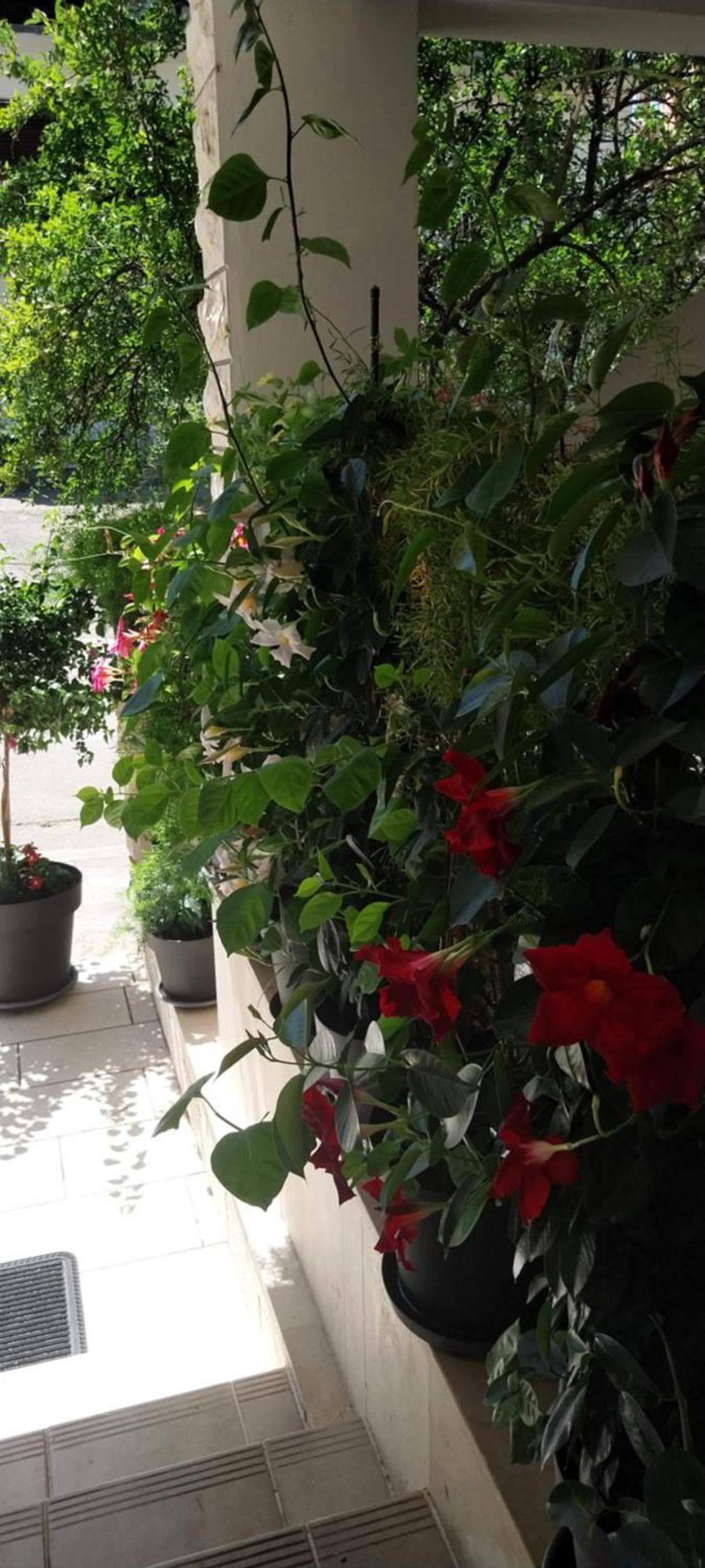 Apartmani Liberan Neum Exterior foto
