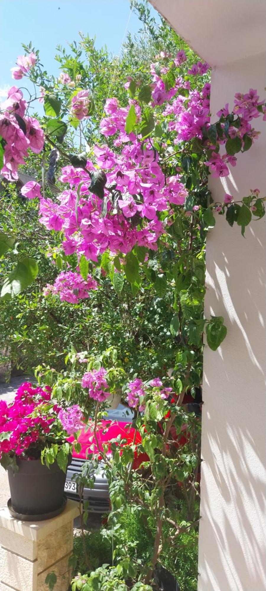Apartmani Liberan Neum Exterior foto