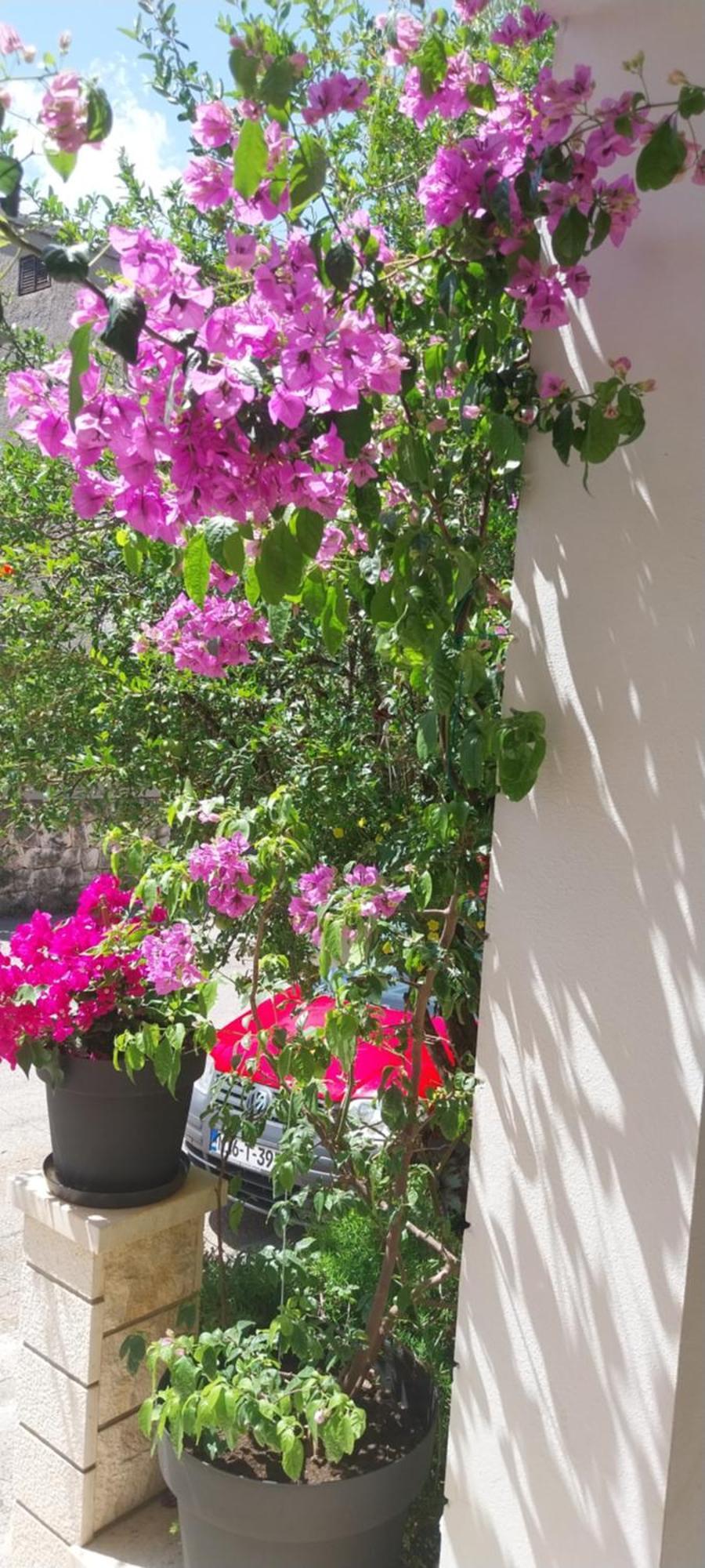 Apartmani Liberan Neum Exterior foto