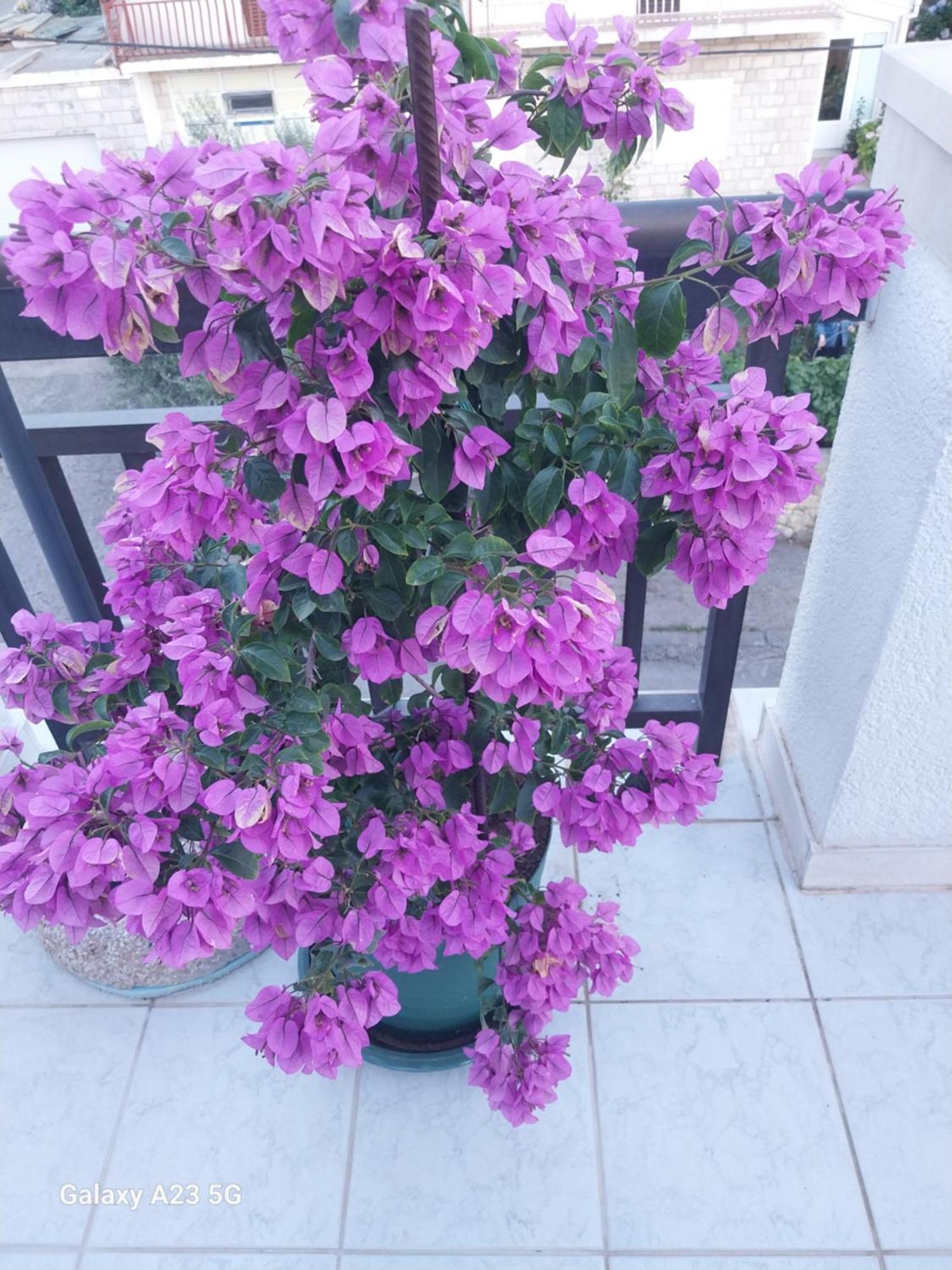 Apartmani Liberan Neum Exterior foto